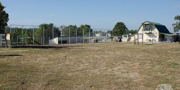field photo
