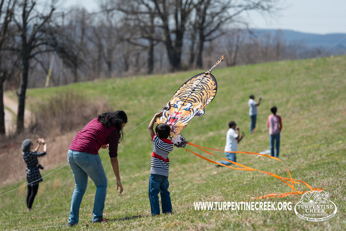 Kite Fest 2018 Turpentine Creek Wildlife Refuge