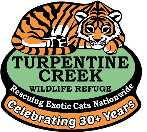 Cat wildlife sanctuary cheap