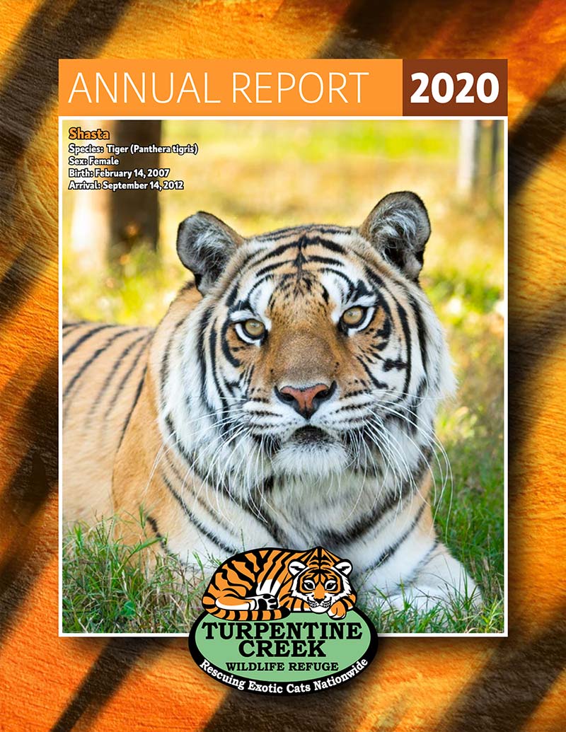 Document thumbnail with tiger on the cover