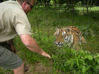 Scott and another tiger