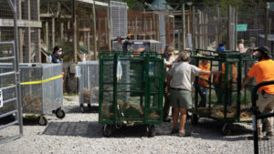 cages and people at Wildlife In Need ready to rescue animals