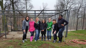 Students from the University of North Texas were among those who volunteered during the spring break here at Turpentine Creek!