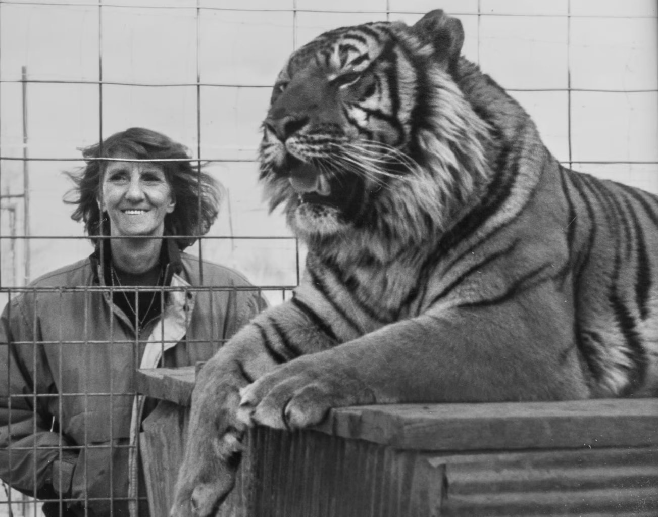 Black and white photo of founder Hilda Jackson standing behind tiger