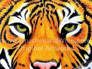 tiger-look2