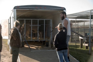 Transporting shop exotic animals