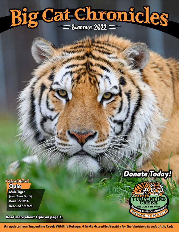 summer 2022 newsletter