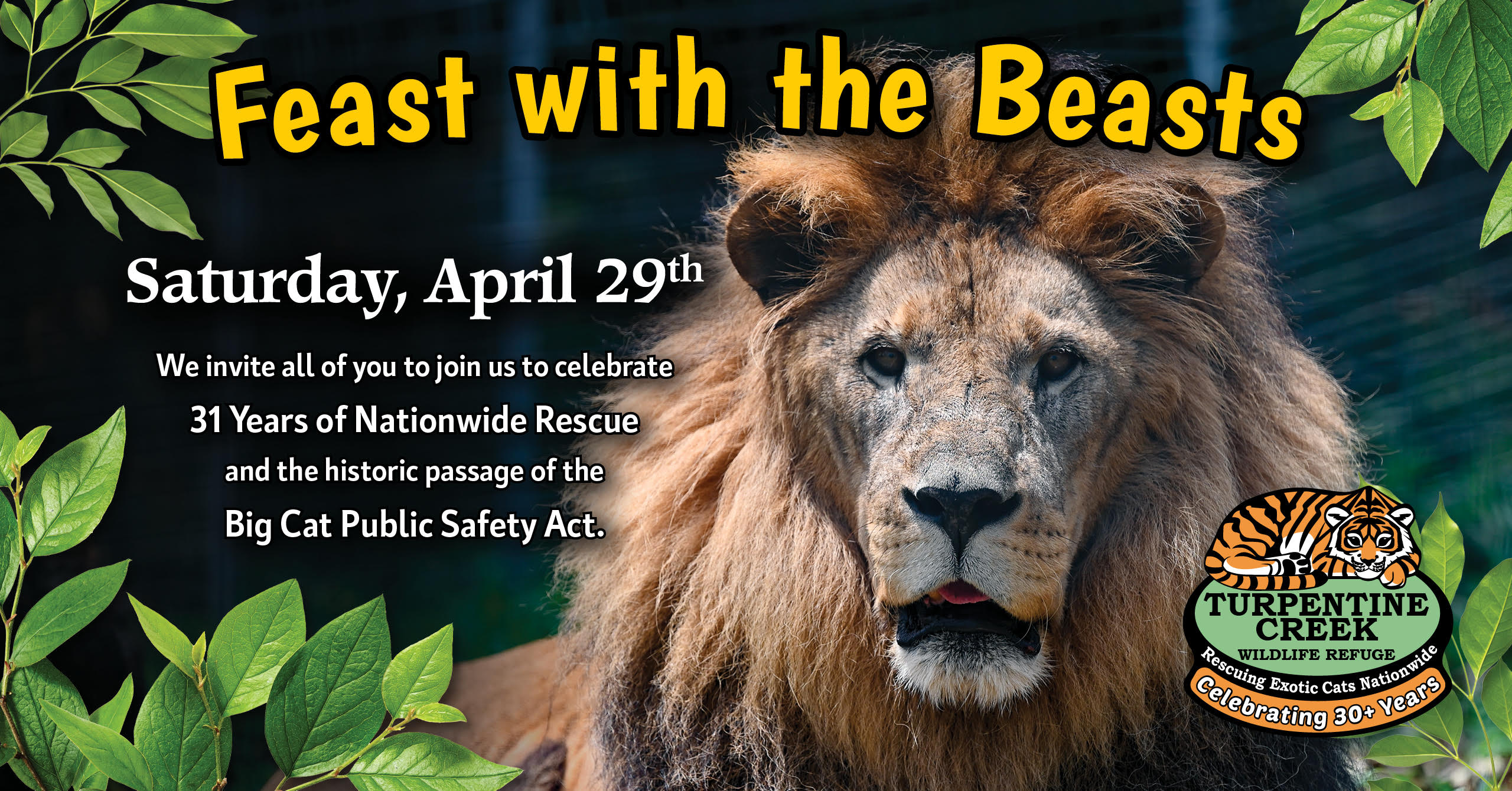 Beasts beasts flyer