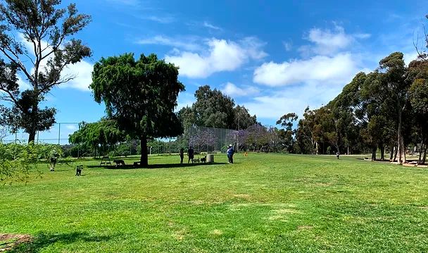 field in park