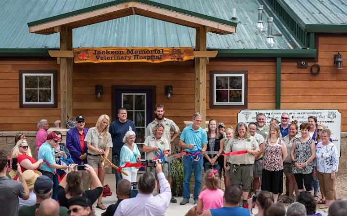 hospital opening