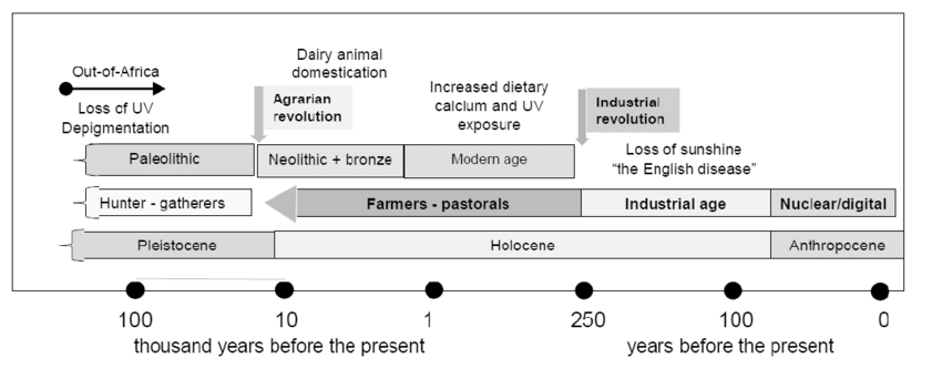 Prehistoric Timeline