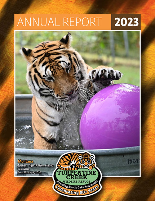 2023 report cover