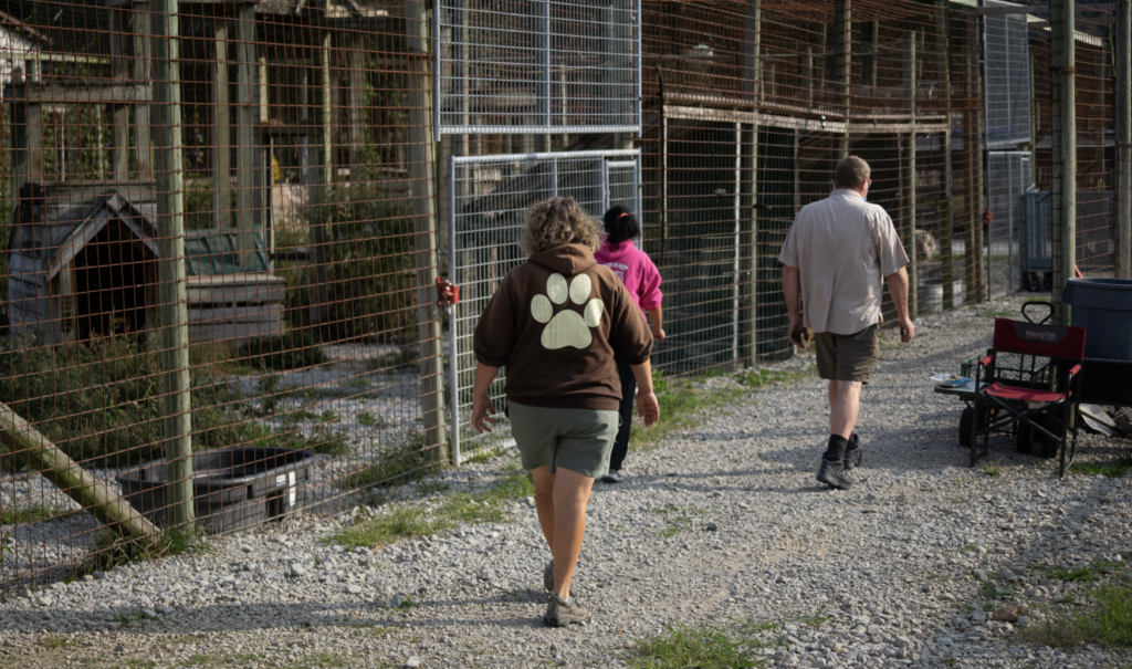 Put Your Money Where Your Mouth Is: Tips for Spotting a Roadside Zoo