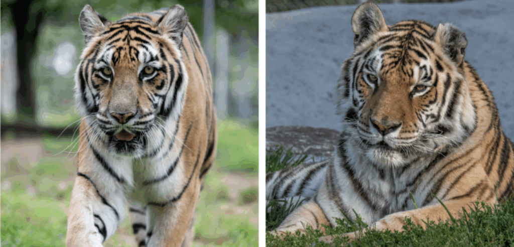 Changing the Way We 'name