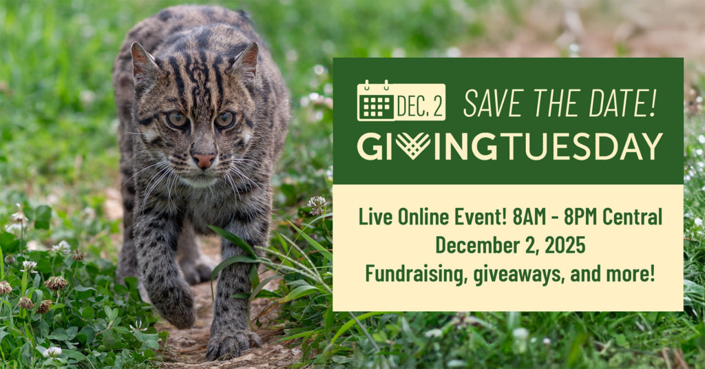 Giving Tuesday 2025: A Year of Unprecedented Rescue, Recovery, and Transformation