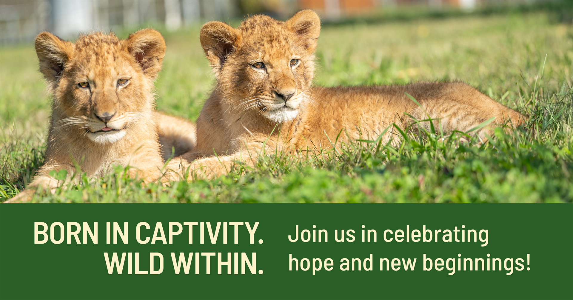 featured event photo